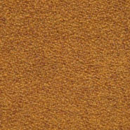 Flora 2_586  Kvadrat
